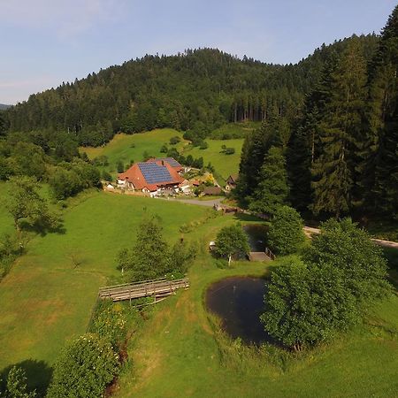 Müllerjörgenhof Lägenhet Gutach Exteriör bild