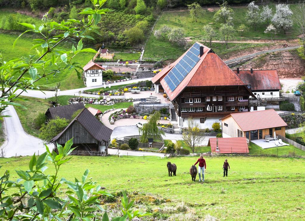 Müllerjörgenhof Lägenhet Gutach Exteriör bild