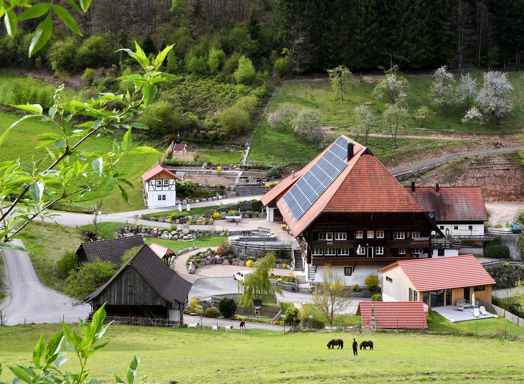Müllerjörgenhof Lägenhet Gutach Exteriör bild